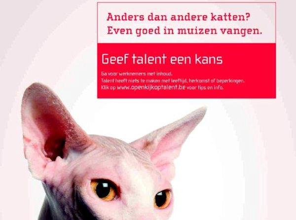Diversiteitscampagne
